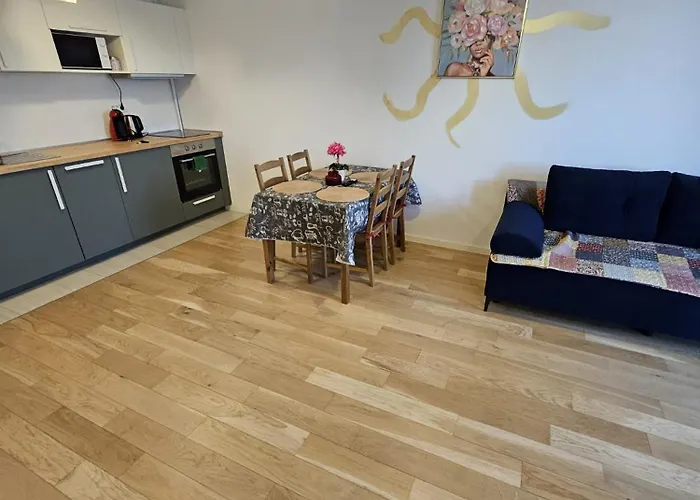 Monarch A&f Тімішоара